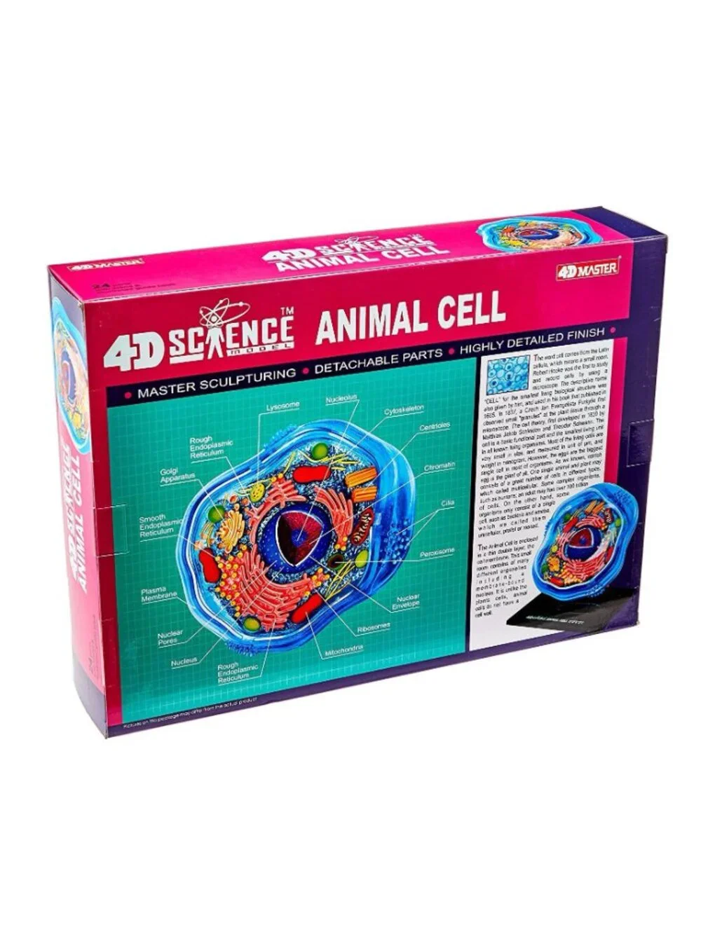 4D Science Animal Cell Anatomy Model High Quality Sculpture Highly Detailed Scho